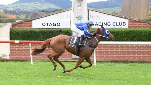 Strobe Light seeking to shine at Wingatui