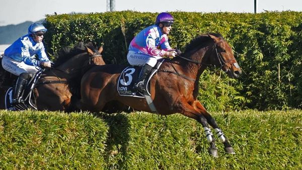 Nedwin scores gallant victory in Waikato Steeplechase
