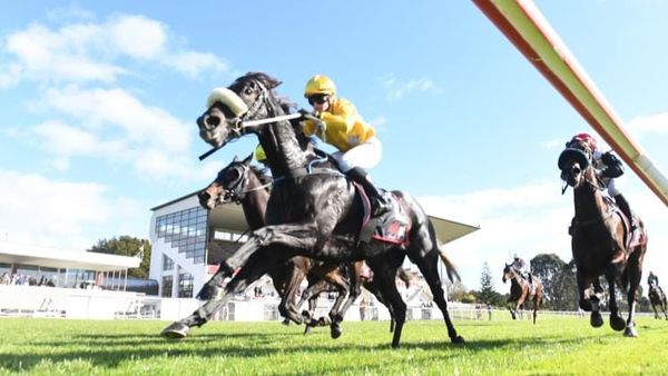 Tyro trainer enjoying top debut season