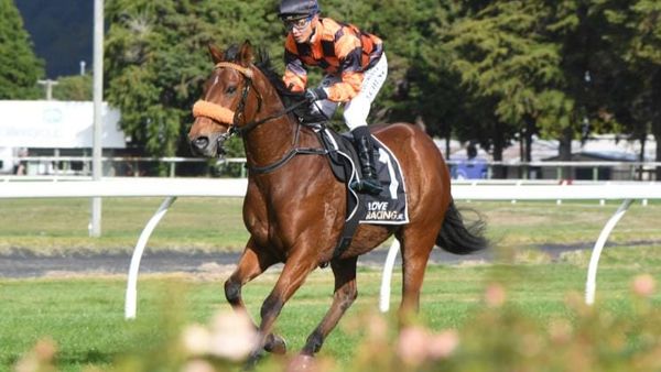 Bradman on target for southern Group finale