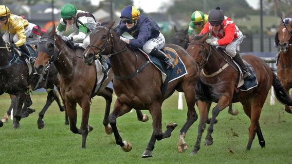 Promising filly heads to winter break a winner