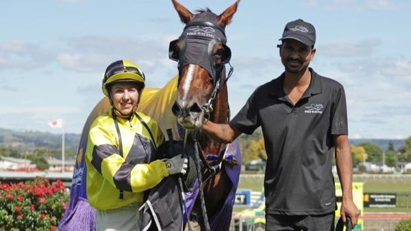 Collett resumes at Tauranga with leading stakes mount