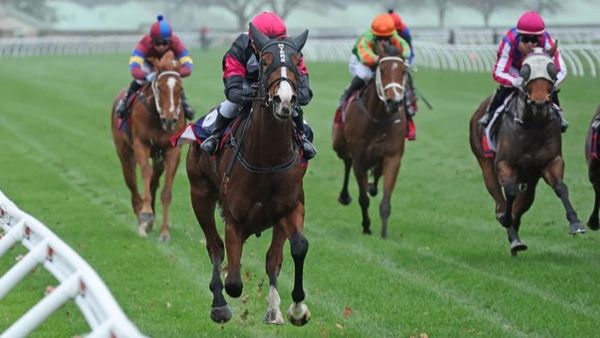 Stakes bound filly shows measure of family talent