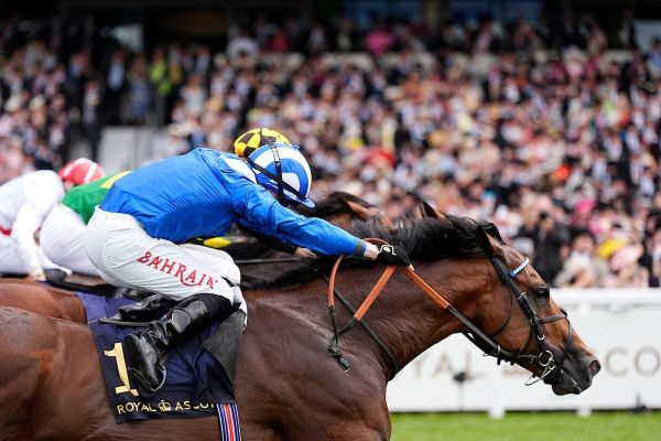 Joliestar denied in final stride