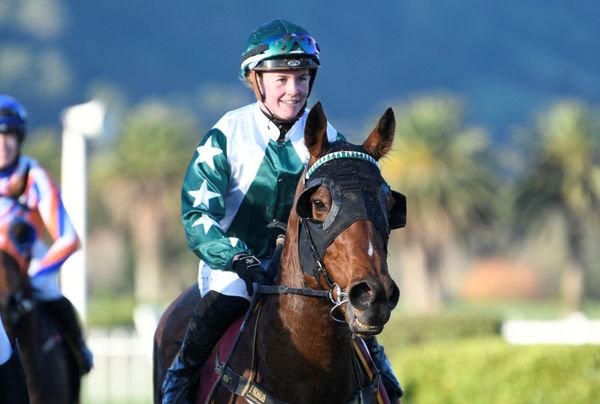Kaimai Queen ticks black-type box at Tauranga