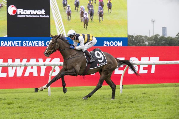 King Pedro turns his fortunes around