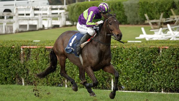 Lord Spencer dominant in maiden steeplechase triumph