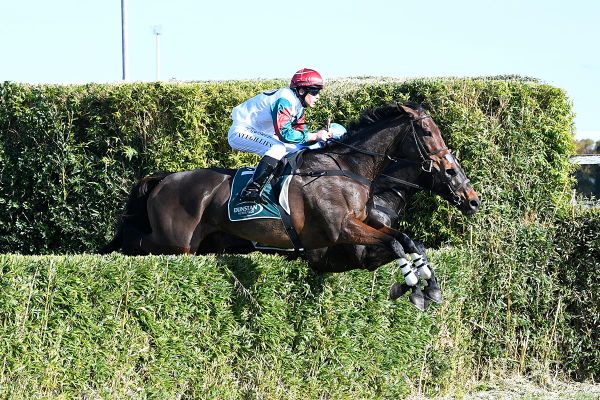 Top jumpers return to the fray at Trentham