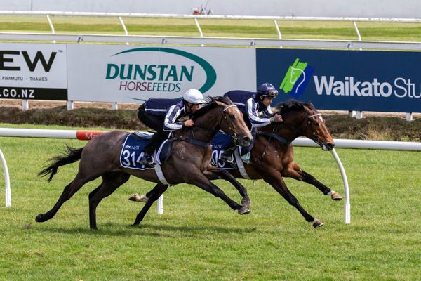 Entries Open for World’s Leading 2YO Sale