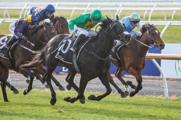 Mixed fortunes for Faulkner pair with Waimate Cup transfer