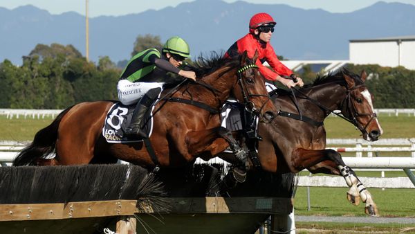 Pacheco takes out thrilling Waikato Hurdle