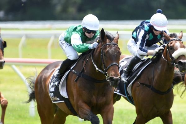 Predominance on the comeback trail