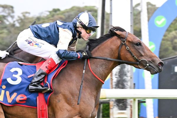Paltrow Miss fresh into Oaks