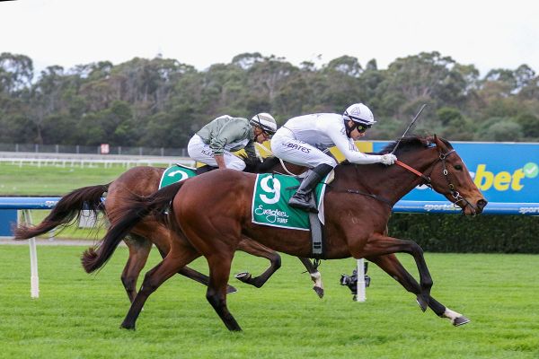 Perfect Ten fights back for Sandown success