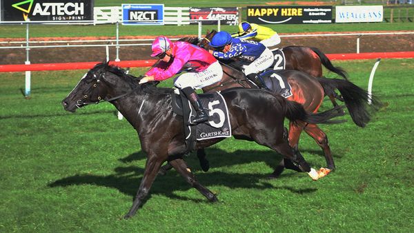 Quondo goes back-to-back at Tauranga