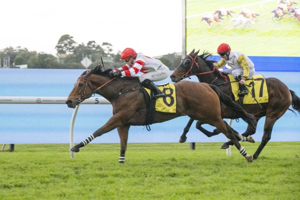 Ready To Shine all the way at Rosehill