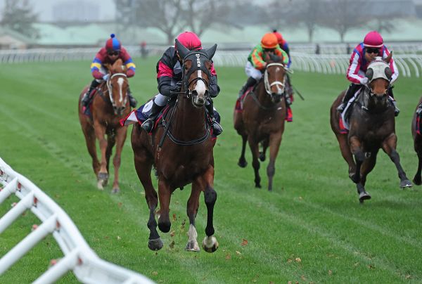 Stakes bound filly shows measure of family talent