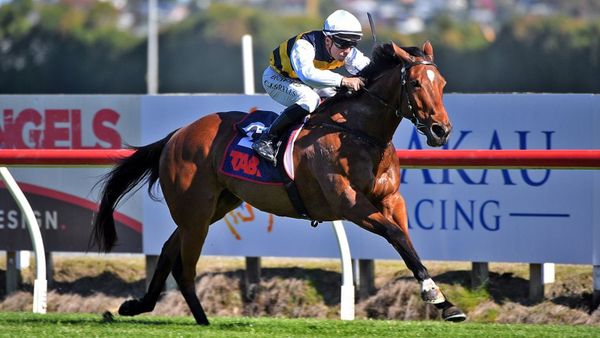 Tough barrier for Single Red in competitive Oaks