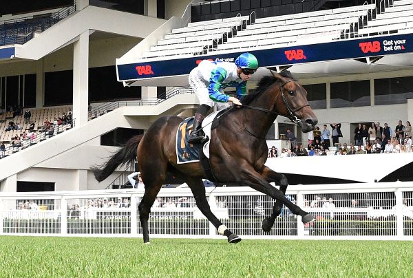 Second chance for Solid Gold in Oaks
