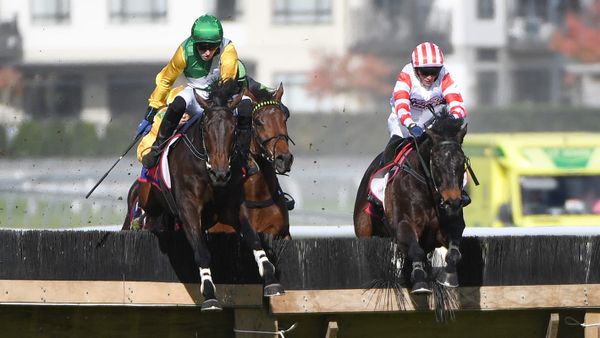 Squire vying for maiden prestige crown at Te Rapa