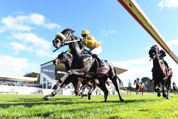 Tyro trainer enjoying top debut season