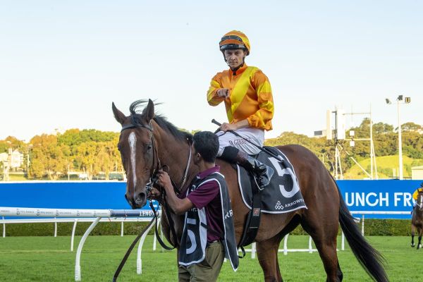 Shangri La’s chance to make an Impact