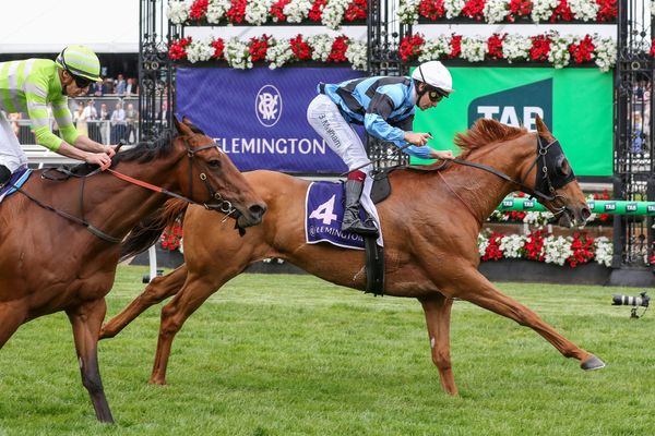 Jumps to spark Smokin’ Romans at Sandown