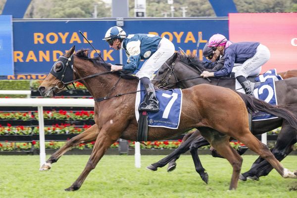Sunshineinmypocket flies home for timely win
