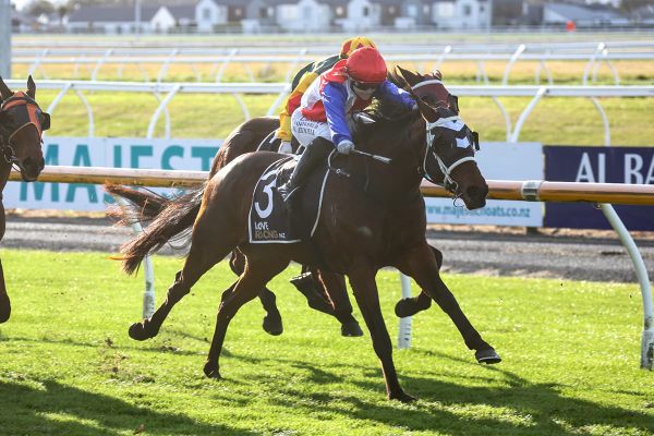 Southern raider captures Amberley Cup