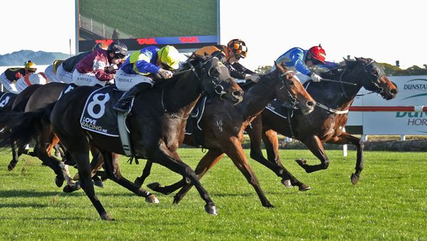 Tristar bounces back to winning form at Te Rapa