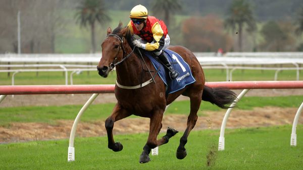 Maiden win just what the doctor ordered