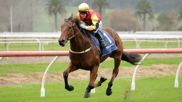 Stakes targets in the offing for Tardis