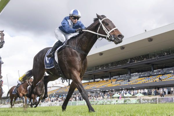 Tarzing strikes in Sydney