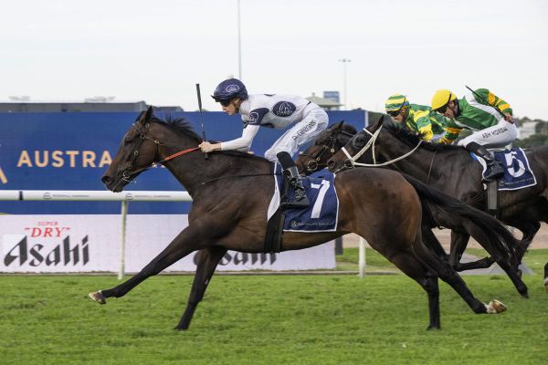 Thebudgiesmugla adds Queen Elizabeth II Cup to perfect 2400m record