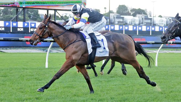Wine Rocs salutes at Ellerslie