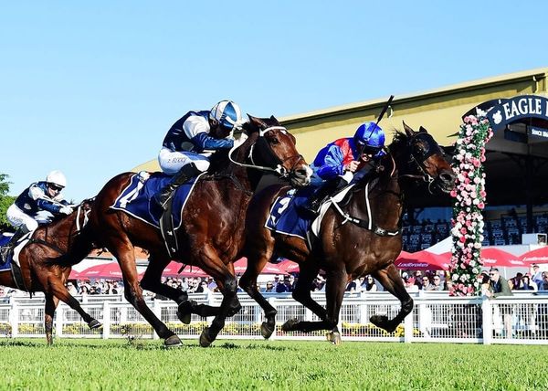 War Eternal adds to stud’s carnival success