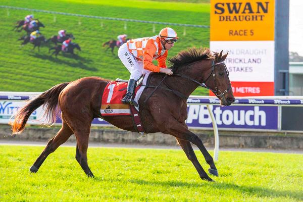 Western Empire completes feature treble in Strickland Stakes