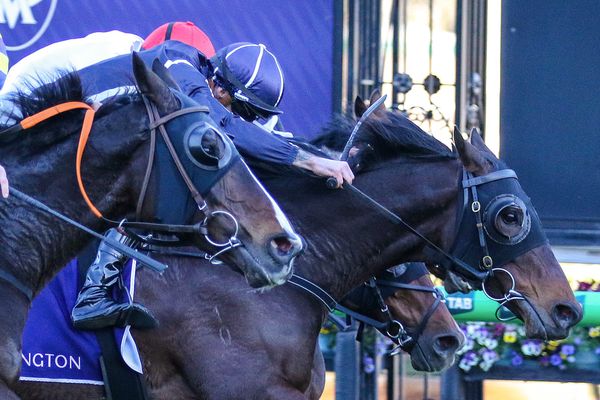 Bold Soul turns the tables in Flemington Cup