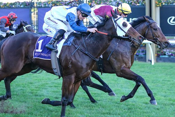 Prima Bella shares spoils in Flemington dead heat