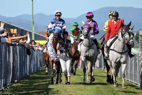 Trentham earmarked for closure under Project Stamina Masterplan