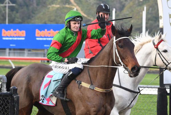 Patience rewarded as Brucie chases another jumping prize