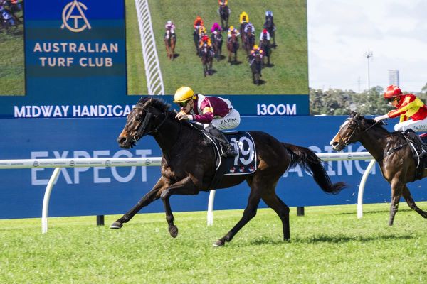 Resuming Rolling Magic confirms Big Dance credentials