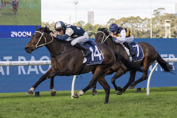 Le Troisir impresses at Rosehill
