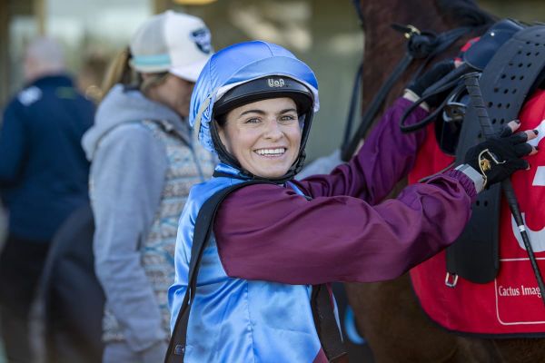 Collett family hoping for Bold performance from veteran