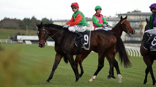 Astoria Brooke takes out Te Awamutu Cup