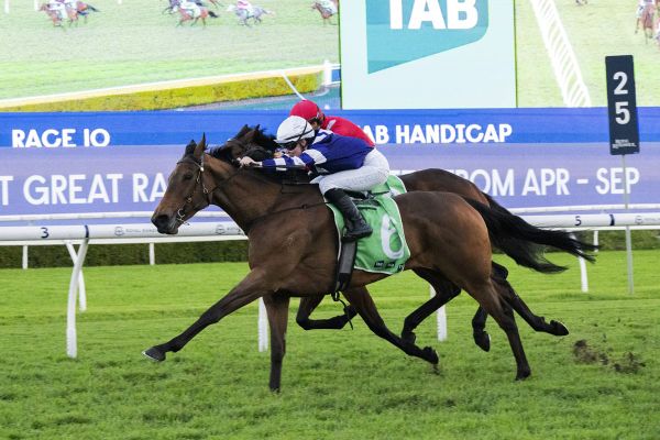 Aroha Stone too strong in Randwick finale