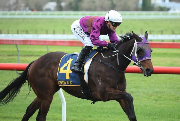 Stakes targets await Benefactor