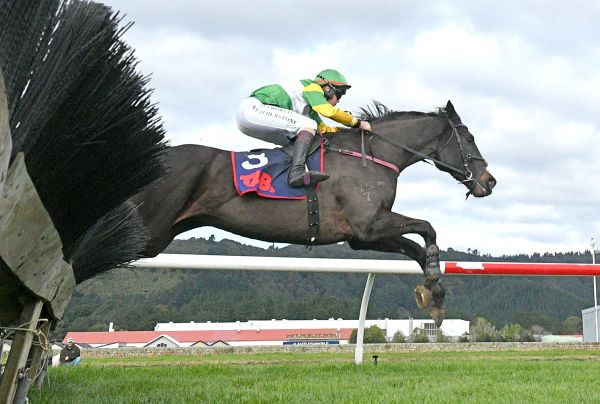 Billy ready to lead stable attack at Riccarton