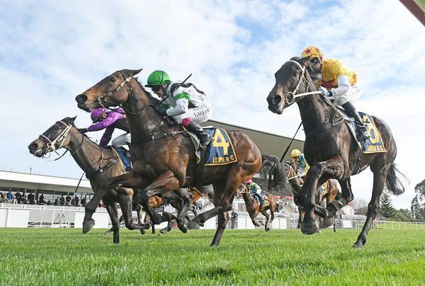 Allpress back on the stakes-winning bus
