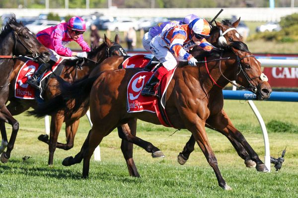 Monash marks Bellatrix Star’s return